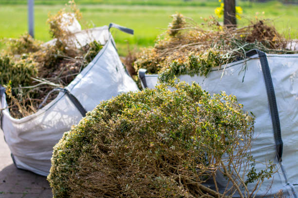 Best Dumpster Rental Services  in Luxemburg, WI