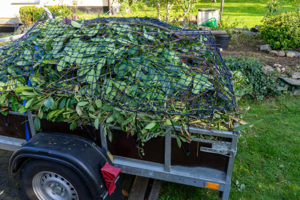 Professional Junk Removal Services in Luxemburg, WI